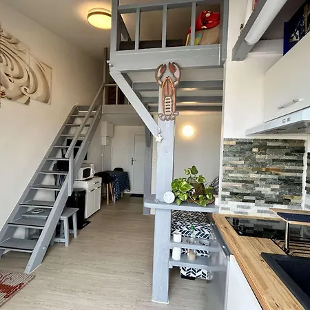 Cap D'agde Ct375-085 Appartement *