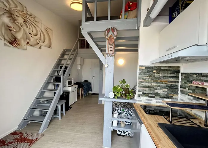 Cap D'agde Ct375-085 Apartament *